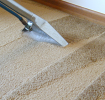 Carpet Cleaning