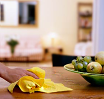 Domestic Cleaning